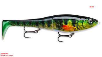Rapala X-Rap Peto 20 cm -Live Perch