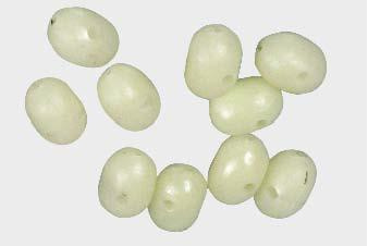 Konger Koraliki do montażu przywieszek 4.7 / 6mm