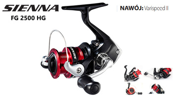 Kołowrotek Shimano Sienna FG 2500 HG