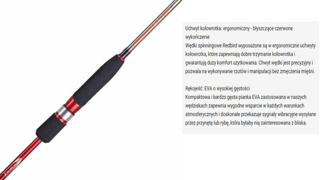 Wędka Sakura REDBIRD SPINNING - RDS 602 L - 6’ (1,83 m) - 2-7 gr