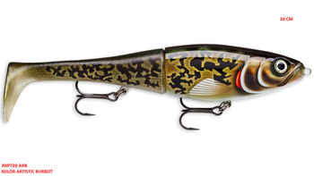 Rapala X-Rap Peto 20 cm -Artistic Burbot