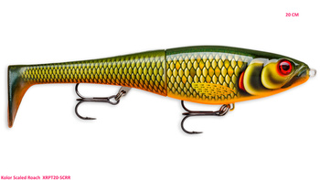 Rapala X-Rap Peto 20 cm -Scaled Roach
