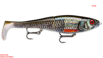 Rapala X-Rap Peto 20 cm -Live Roach