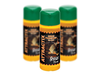 Attractix Gros Poissons/Duże Ryby 75ml